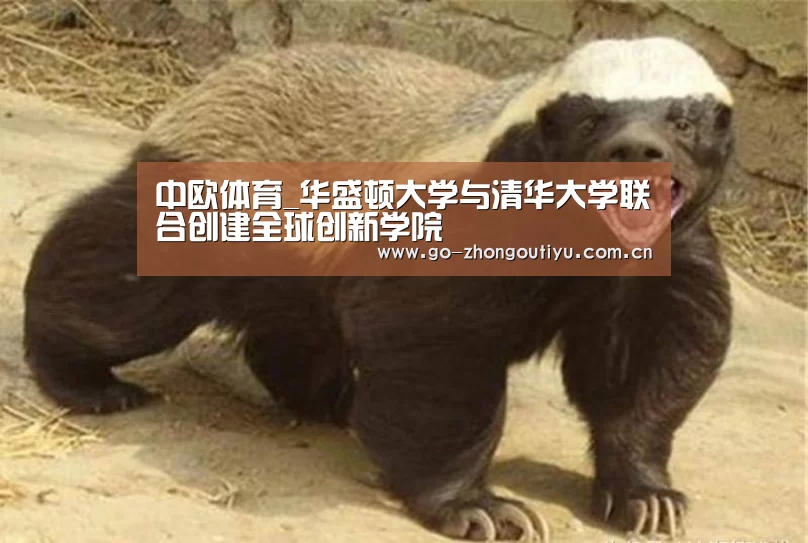 中欧体育_华盛顿大学与清华大学联合创建全球创新学院(图1) 中欧体育官网