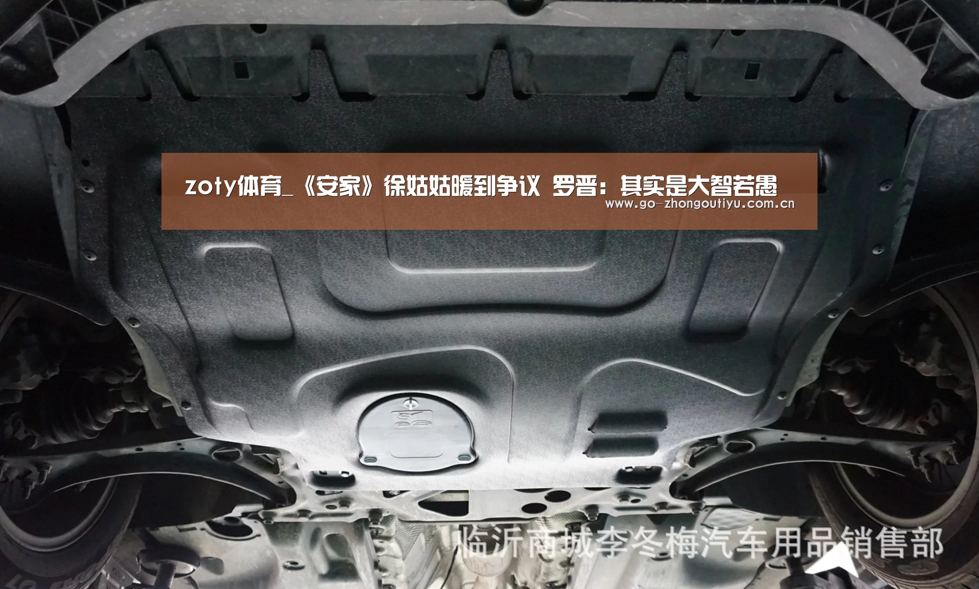 zoty体育_《安家》徐姑姑暖到争议 罗晋:其实是大智若愚(图1) 中欧体育官网