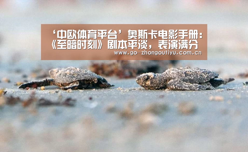 ‘中欧体育平台’奥斯卡电影手册:《至暗时刻》剧本平淡,表演满分(图2) 中欧体育