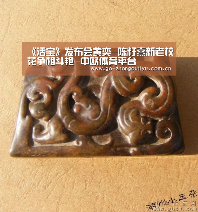 《活宝》发布会黄奕-陈籽熹新老校花争相斗艳-中欧体育平台(图3) 中欧体育平台