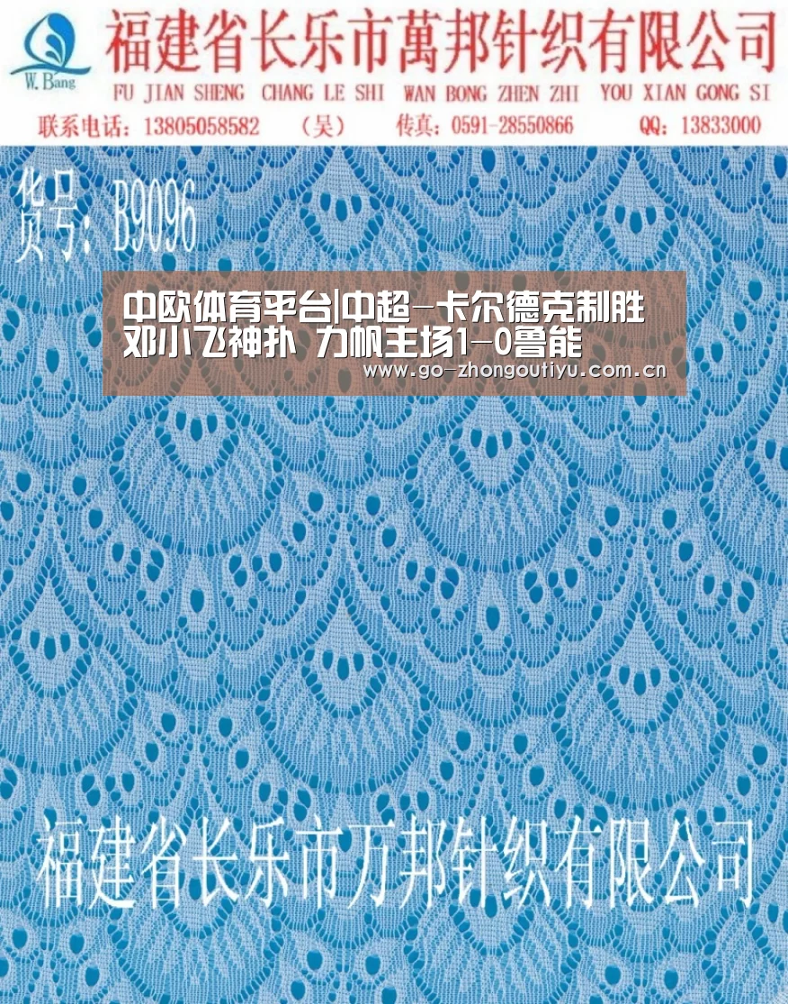 中欧体育平台|中超-卡尔德克制胜邓小飞神扑 力帆主场1-0鲁能(图1) 中欧体育官网