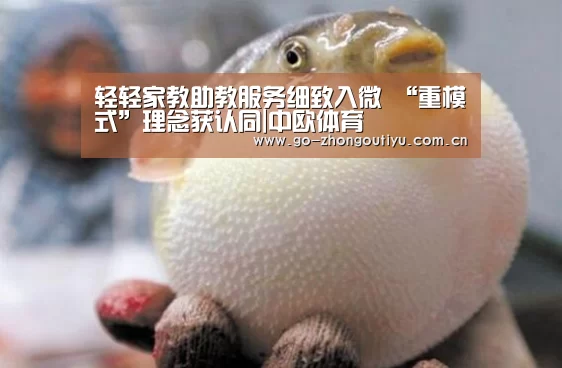 轻轻家教助教服务细致入微 “重模式”理念获认同|中欧体育(图3) 中欧体育平台