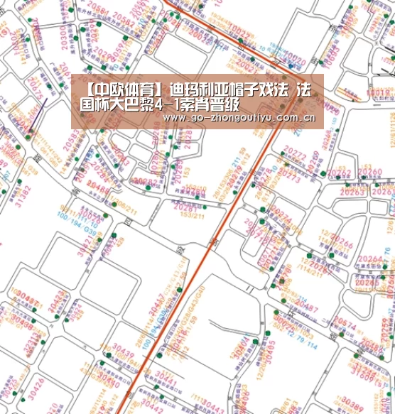 中欧体育