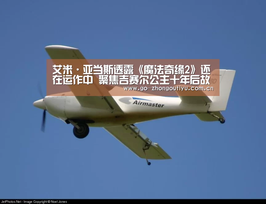 中欧体育平台