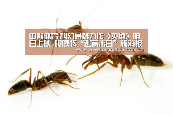 中欧体育|科幻悬疑力作《灭绝》明日上映 曝硬核“逃离末日”版海报(图1) zoty体育