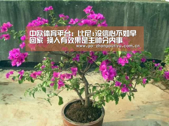 中欧体育平台:比尼:没信心不如早回家 换人有效果是主帅分内事(图2) 中欧体育平台