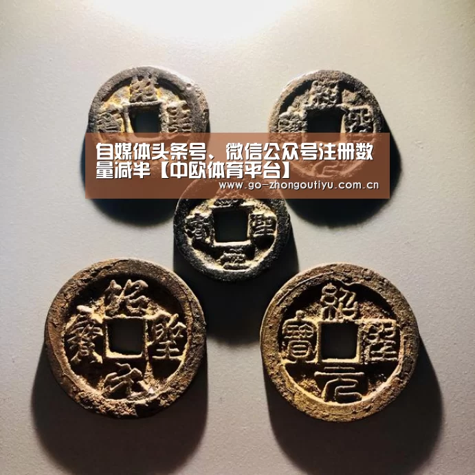 自媒体头条号、微信公众号注册数量减半【中欧体育平台】(图3) zoty体育