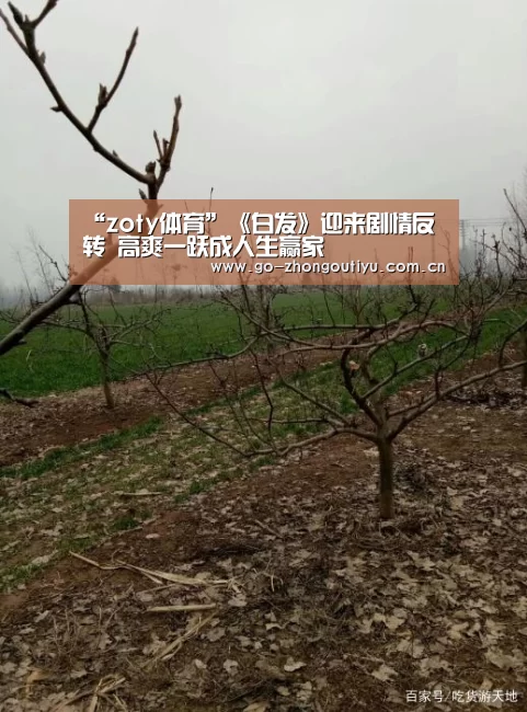 “zoty体育”《白发》迎来剧情反转 高爽一跃成人生赢家(图1) zoty体育